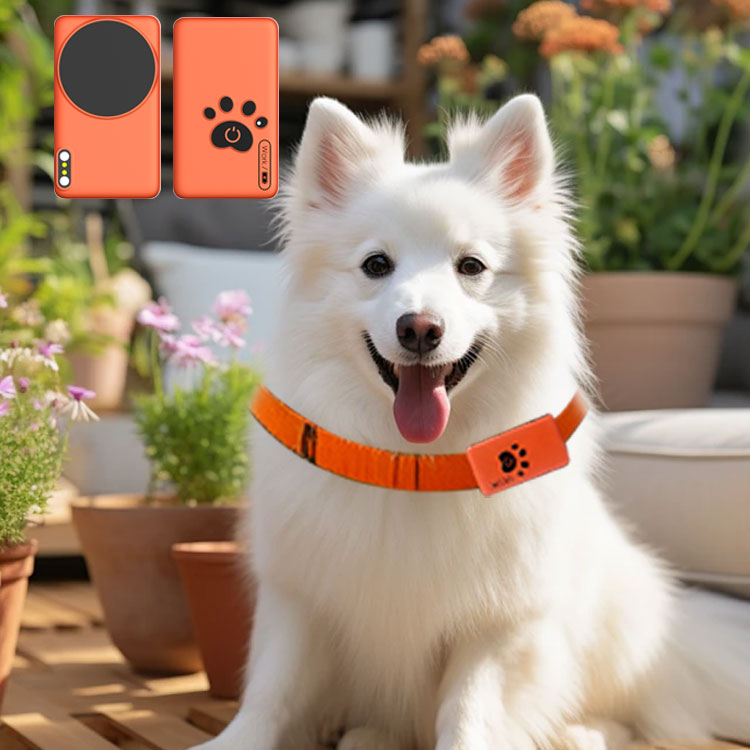 AI Wearable Pet Health Monitor - Breath Rate Monitor 评论和价格